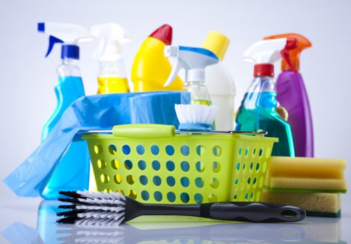 Domestic cleaning service keeping a living room tidy and fresh