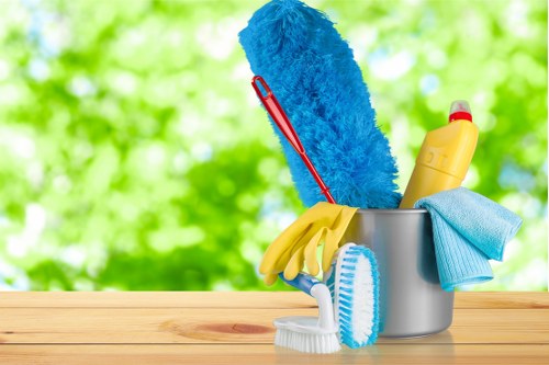 Cleaninghome accessibility statement introduction image