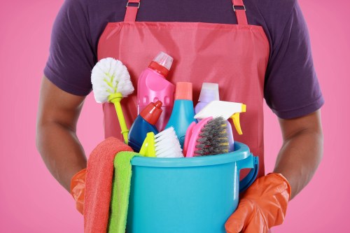 Portable carpet cleaner for home spot cleaning
