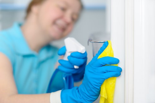 Professional cleaning company in Cleaninghome servicing a modern home
