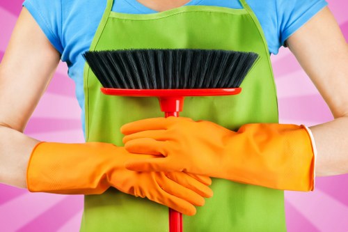 Deep cleaning kitchen surfaces and appliances in a clean home