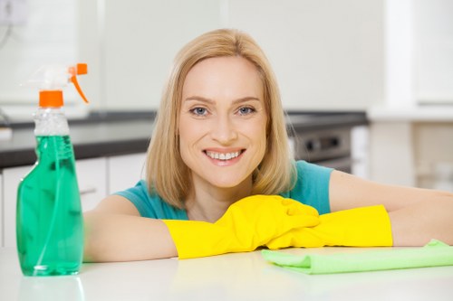 Cleaning and stain treatment on a living room couch