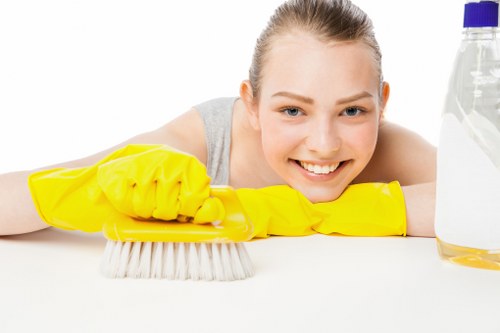 Deep cleaning and sanitizing service by a Cleaninghome company