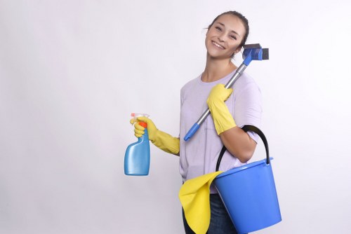 Deep cleaning equipment treating a carpet surface
