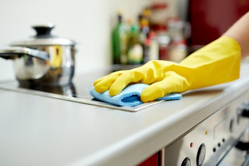 Detailed investigation of a Cleaninghome complaint