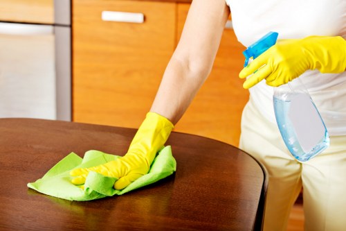 Home rug maintenance and cleaning tips for long-lasting results