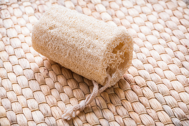 regular cleaning Professional cleaners