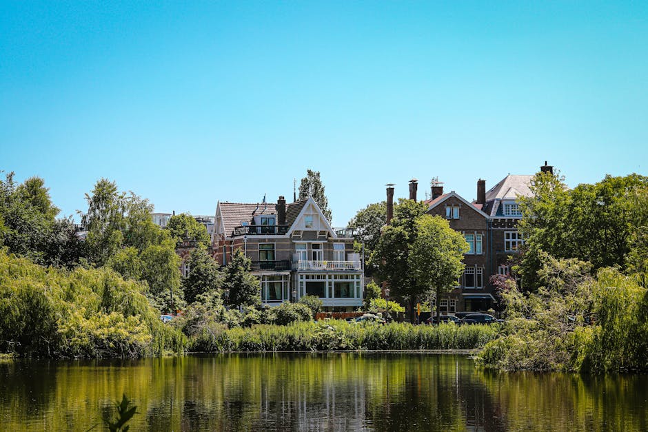 A scenic view of a pond or small lake with calm, reflective water, surrounded by lush green trees and shrubs. In the background, there are several residential buildings with varied architectural style